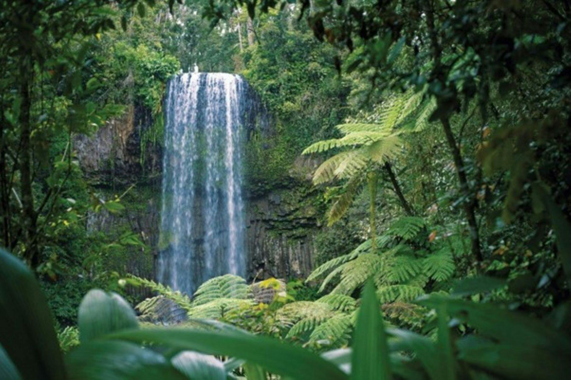 Millaa Milla Falls