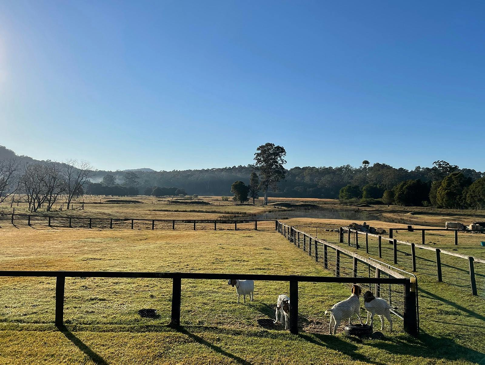 Beautiful view of Mollies Farm