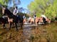 Crossing the rivers on horseback