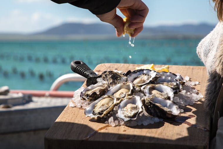 Experience Coffin Bay and Eyre Peninsula Forage and Feast