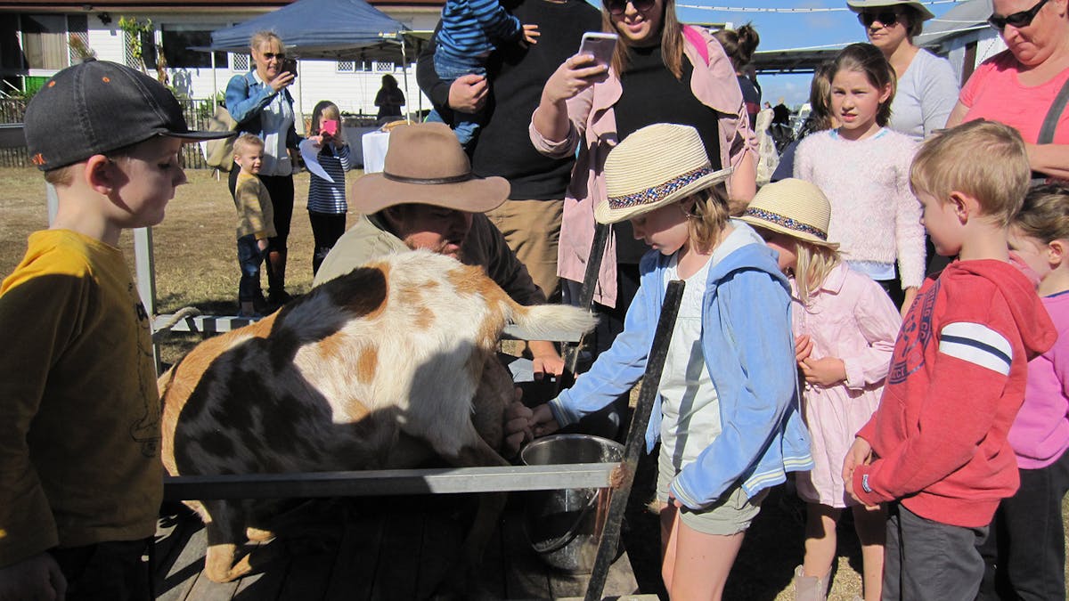 A group of children line up to milk a goat by hand.