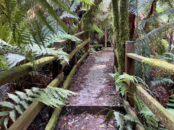 Myrtle Gully Circuit