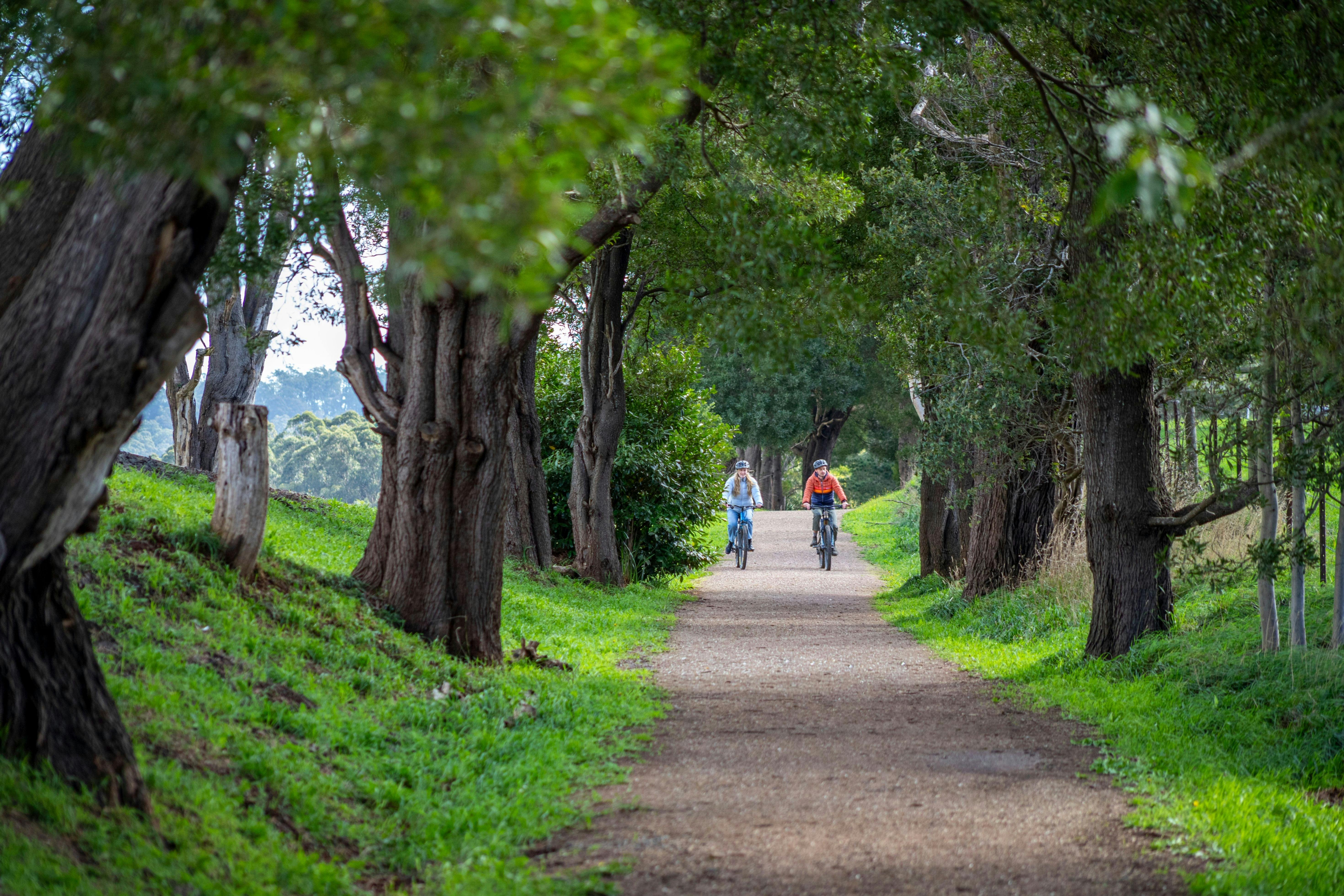 Bike Ride Gembrook Eastern Dandenongs Rail Trail