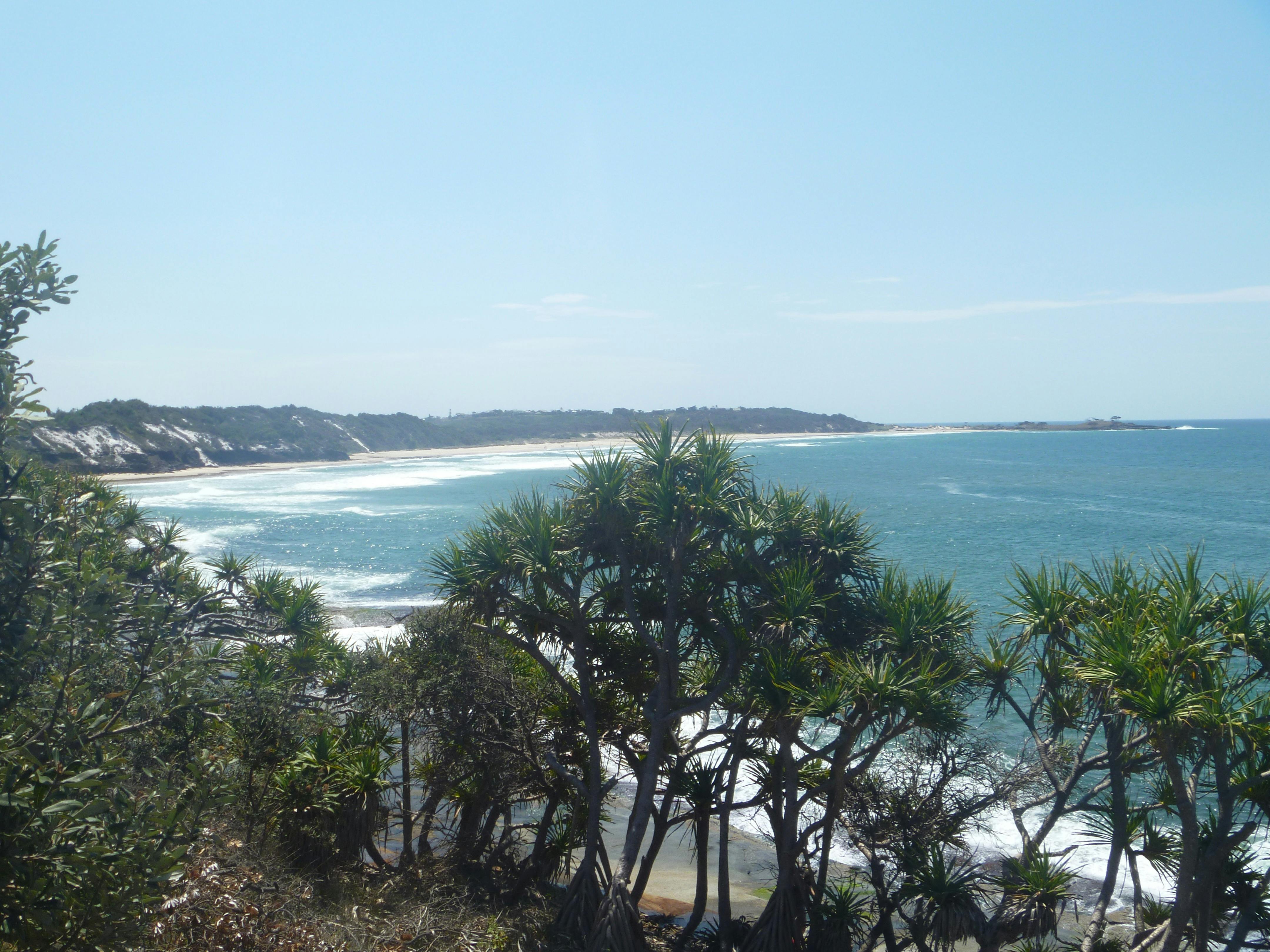 Looking north towards Angourie