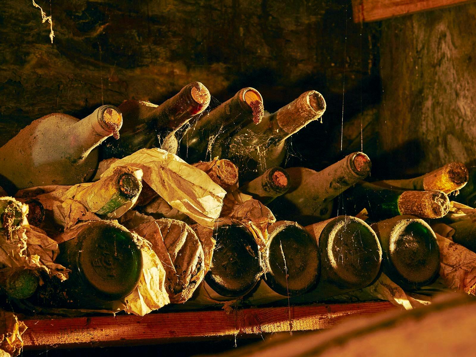 Museum Wines in the Cellar
