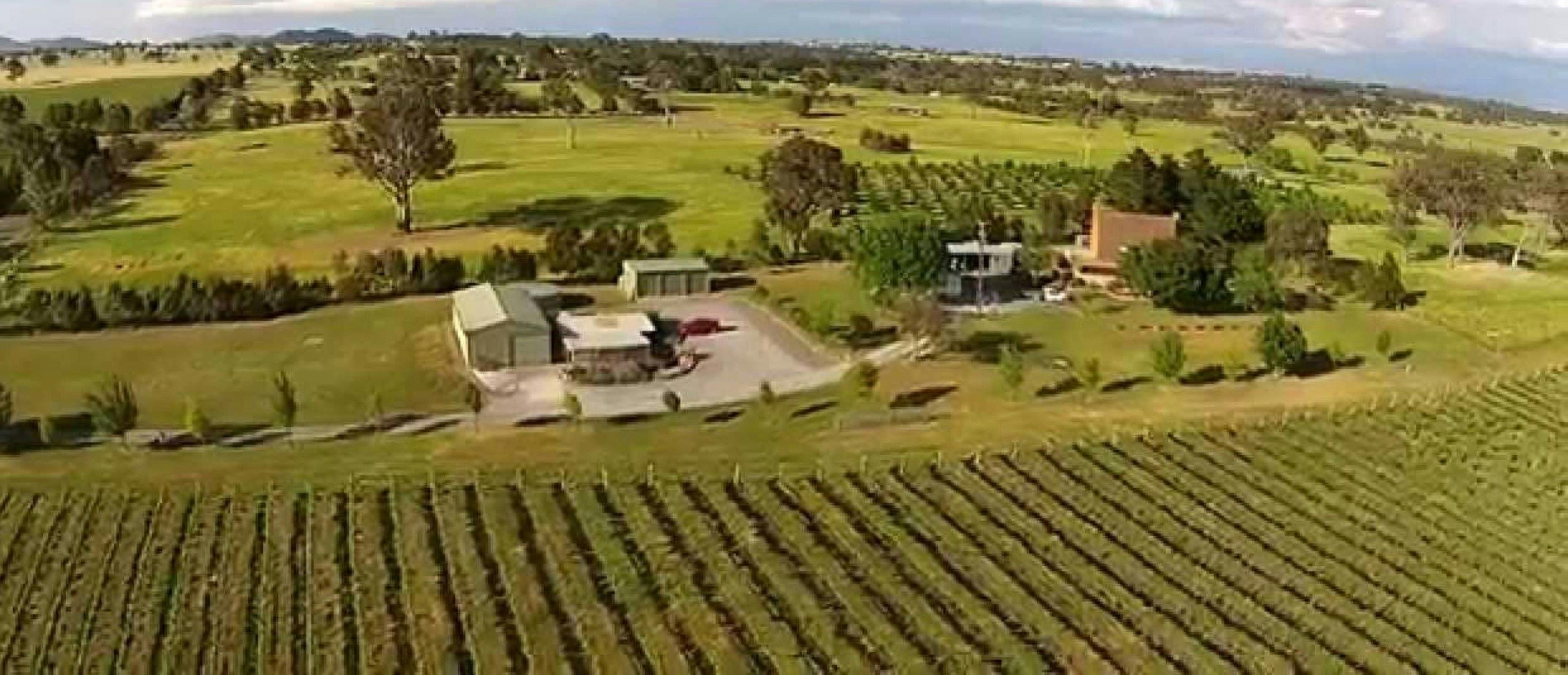 Dionysus Winery Experiences