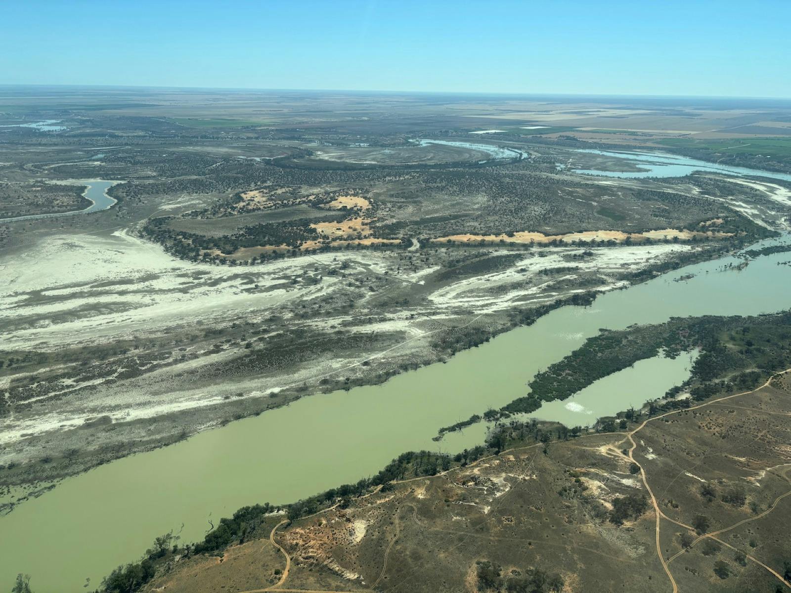 Murray from above, Renmark