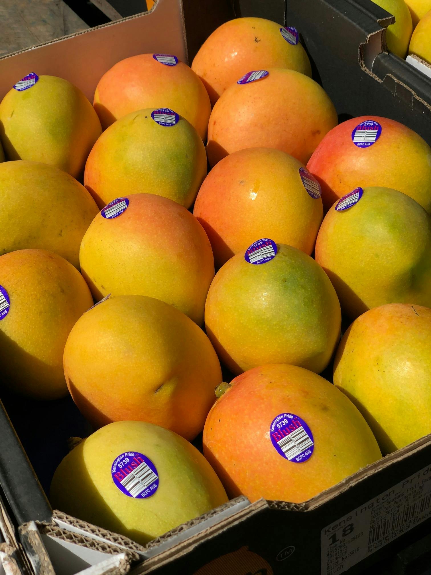 Tully's Mangoes