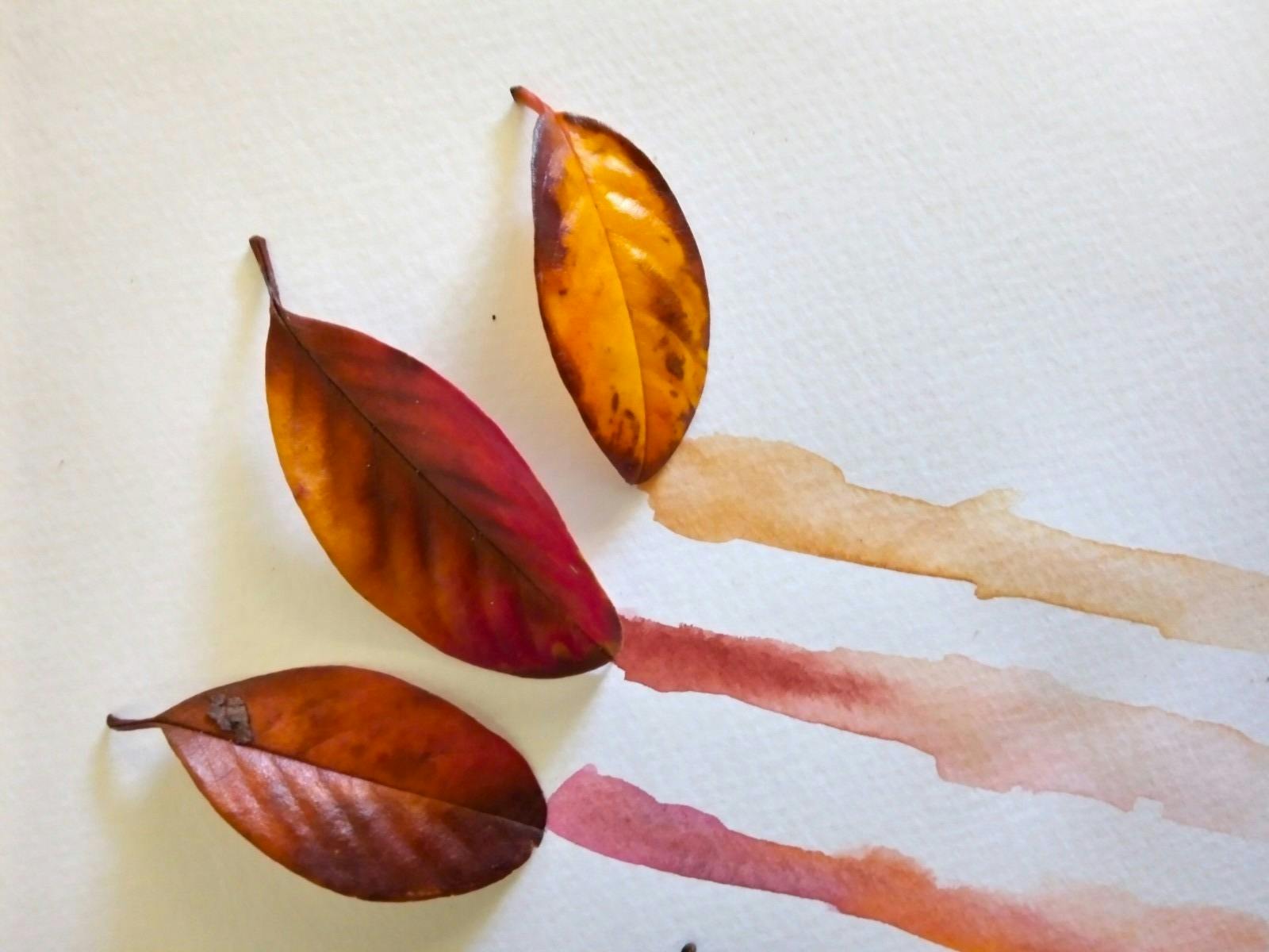 Scribble Cat Studios- Watercolour Painting Class