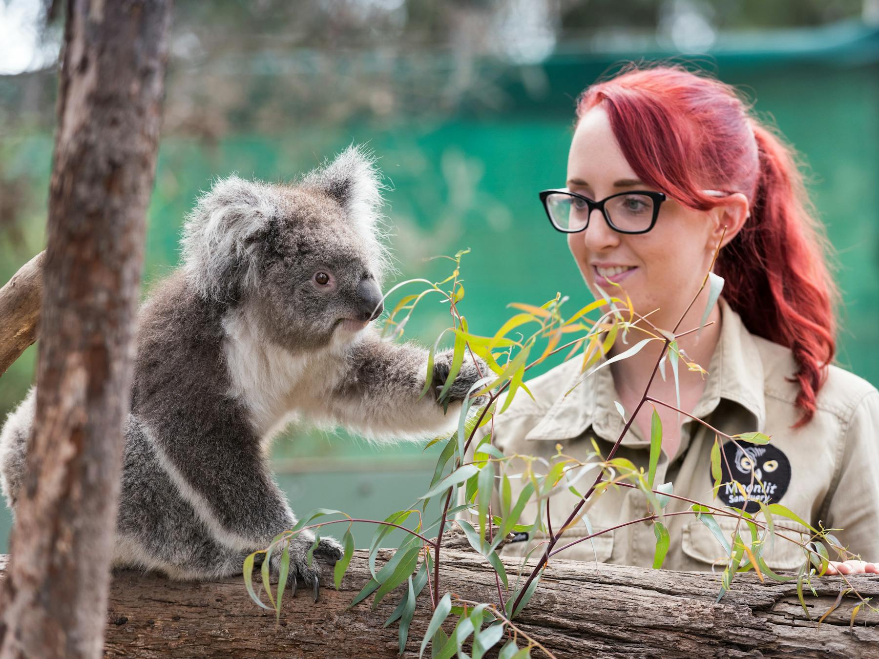 Express Melbourne tour