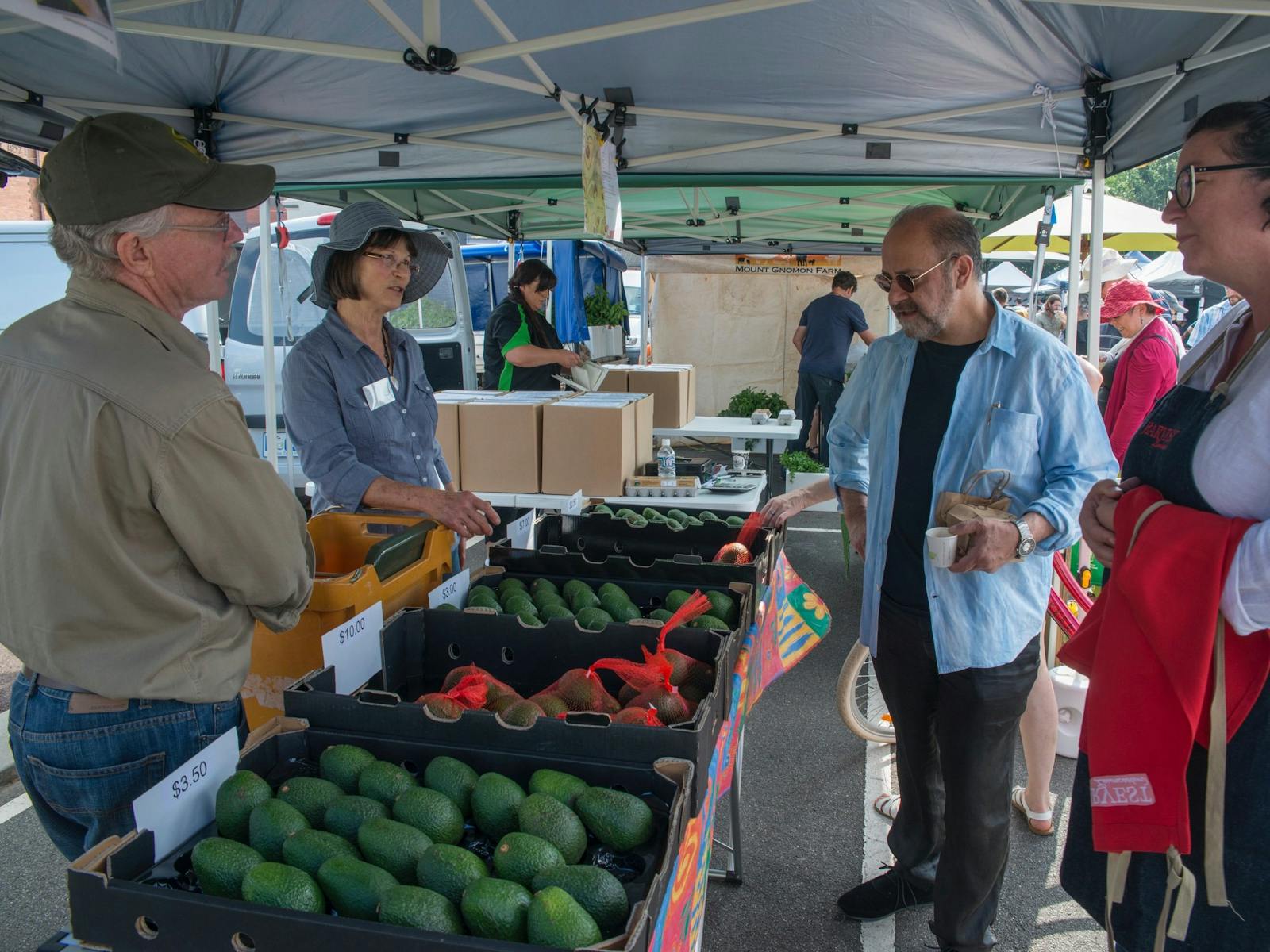 Greg Malouf browsing the Tasmanian avocados