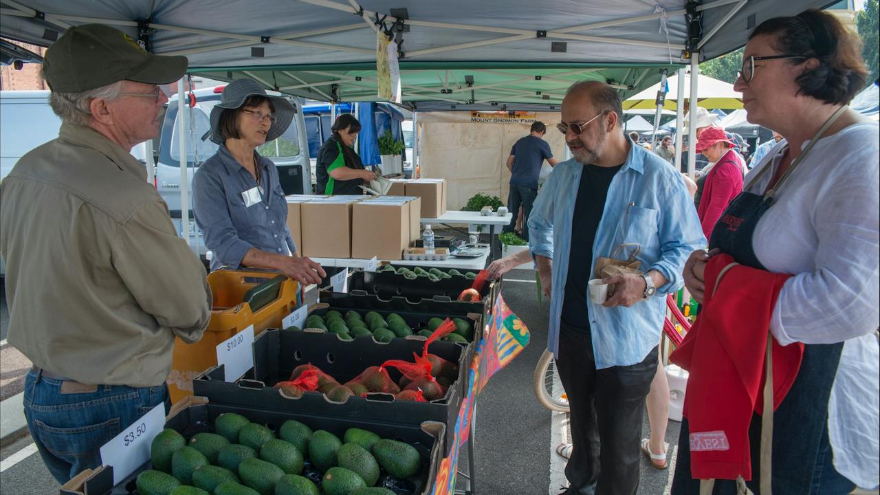 Greg Malouf browsing the Tasmanian avocados