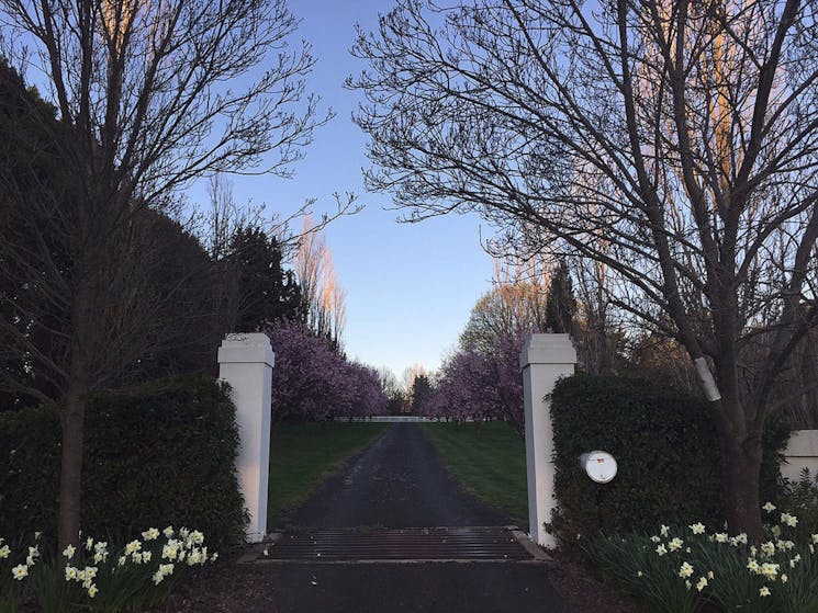 Willowood NSW Holidays & Things to Do, Attractions and