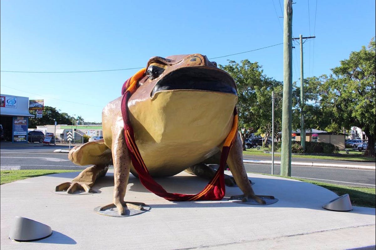 Big Cane Toad