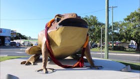 Big Cane Toad