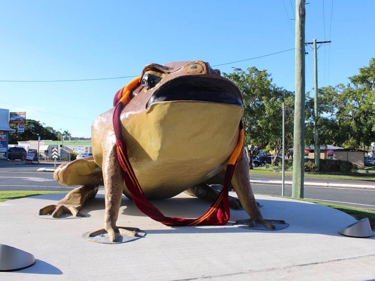 Big Cane Toad Attraction Queensland
