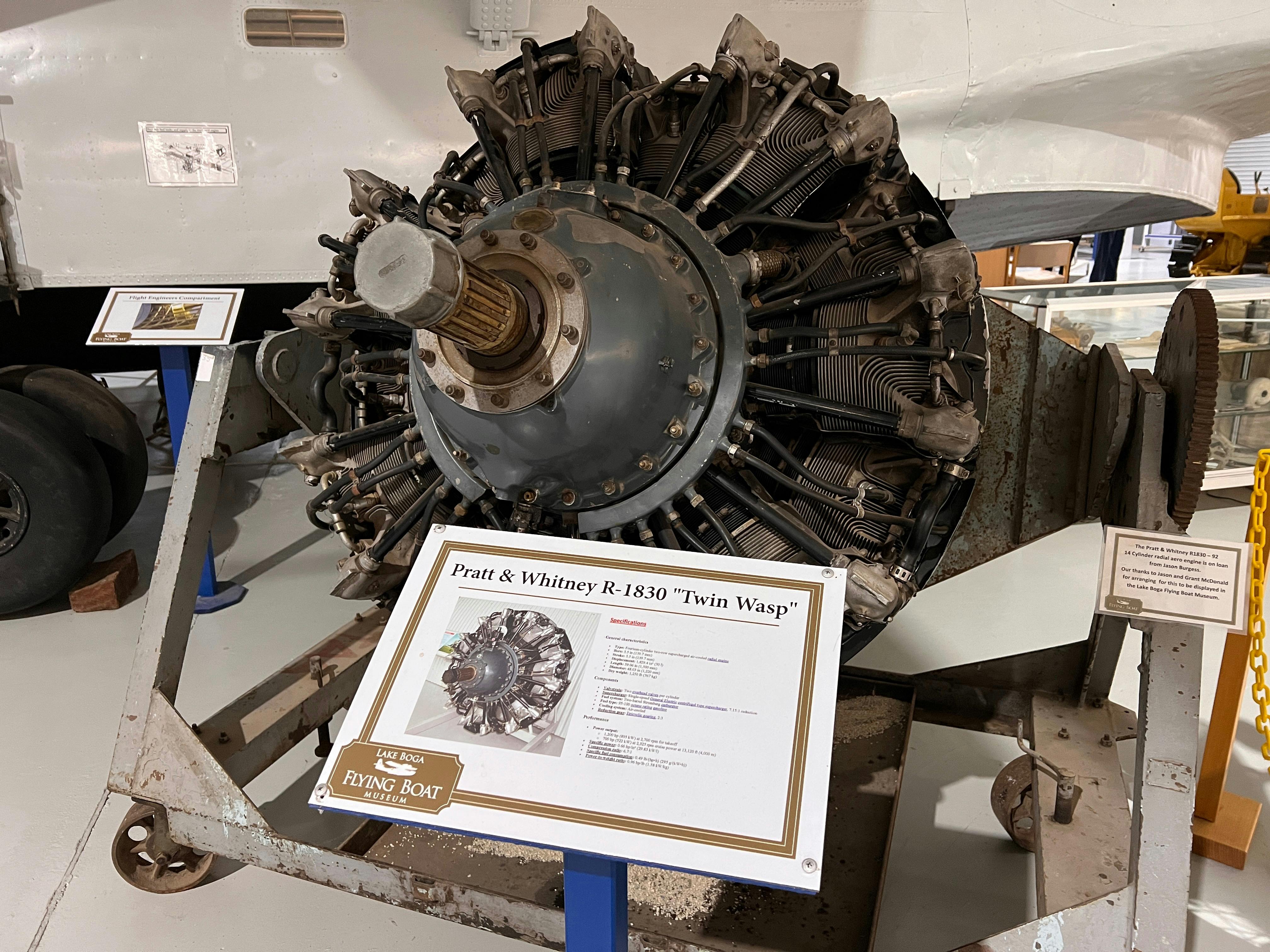 Museum Collection
