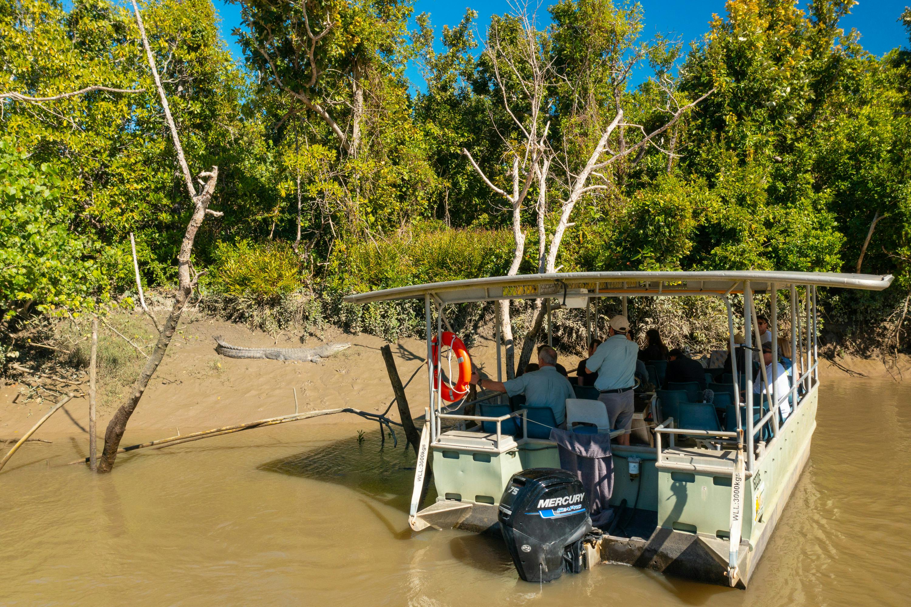 Croc watching Proserpine River