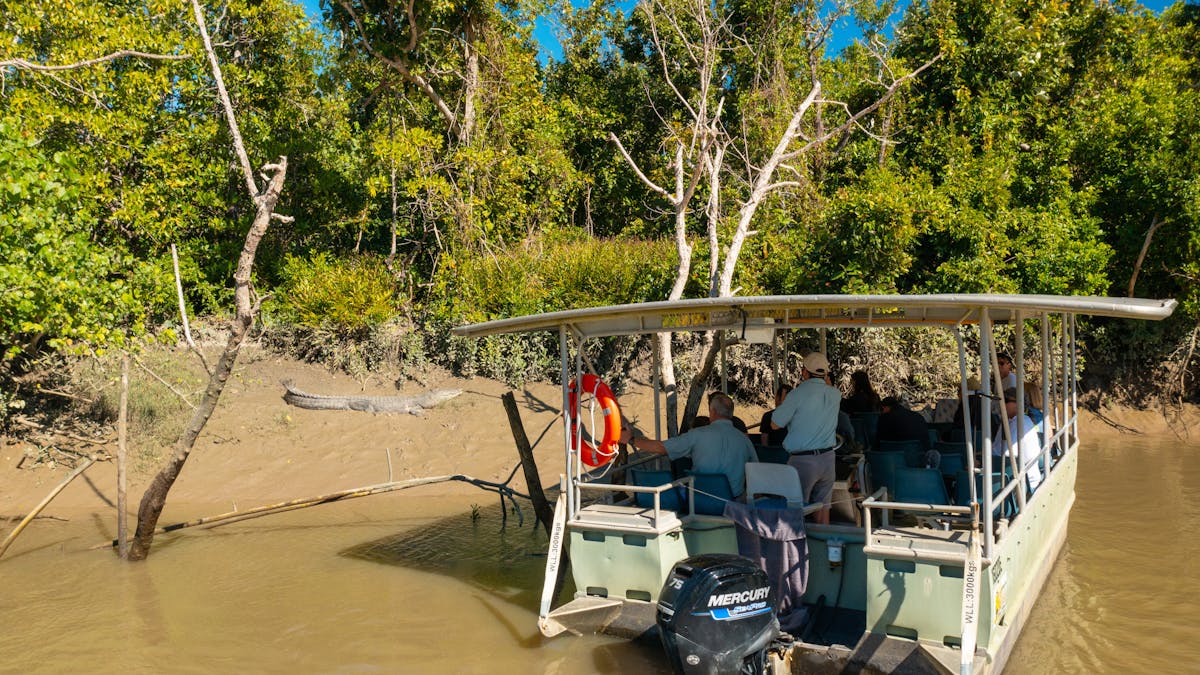 Croc Safari River Cruise