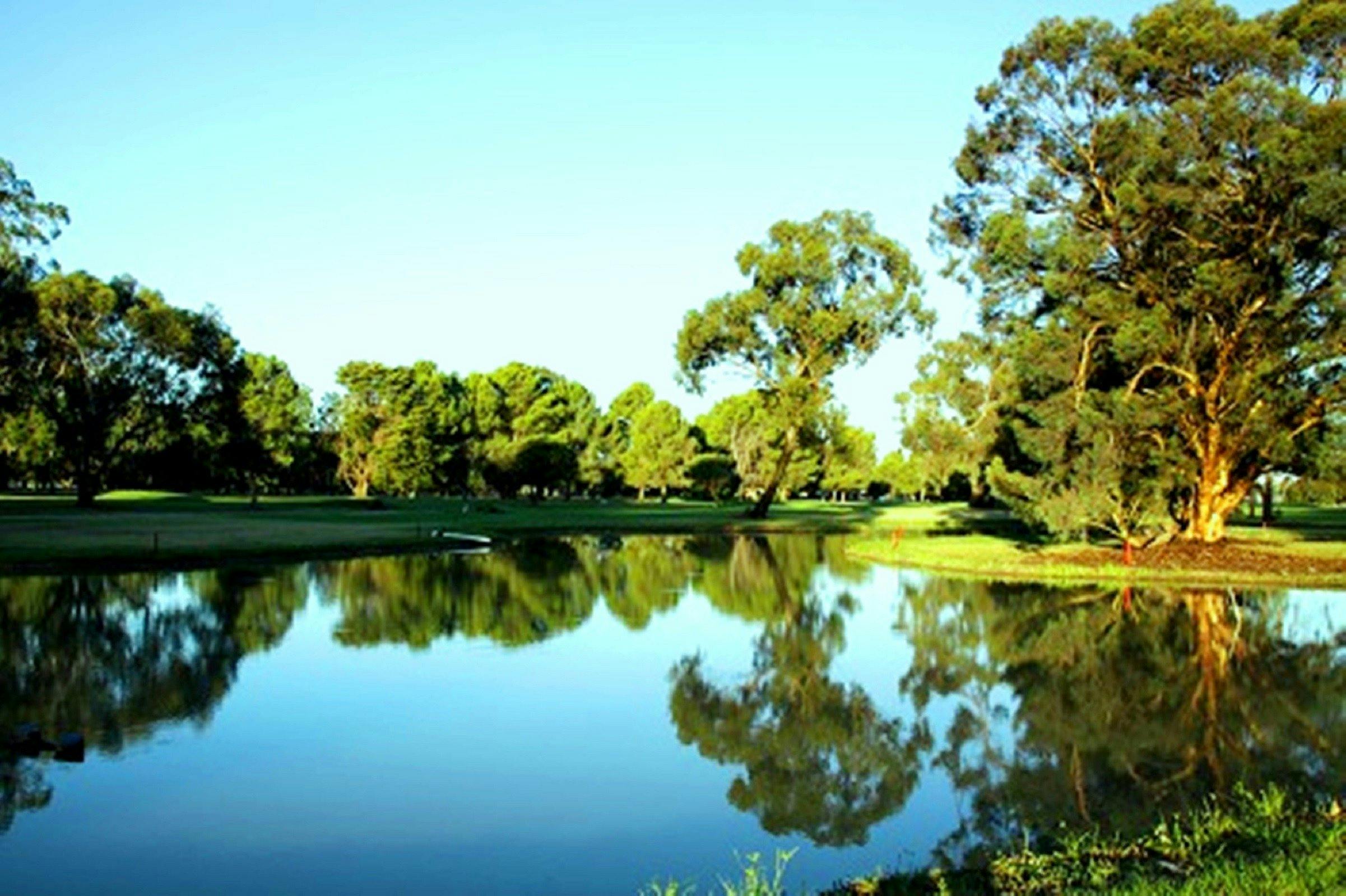 Finley Golf Club NSW Holidays Accommodation  Things