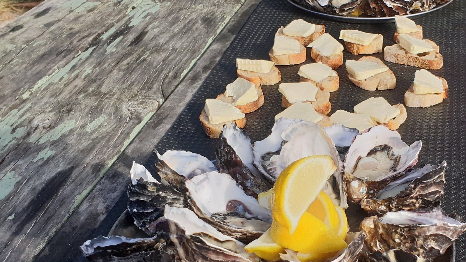 Bruny Island Cheese, Oysters and Wood Fired Oven Bread for morning tea