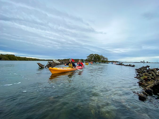 Dolphin Sanctuary & Ships Graveyard Kayak Tour