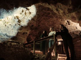 A tour guide shines a torch on the cave wall for guests.