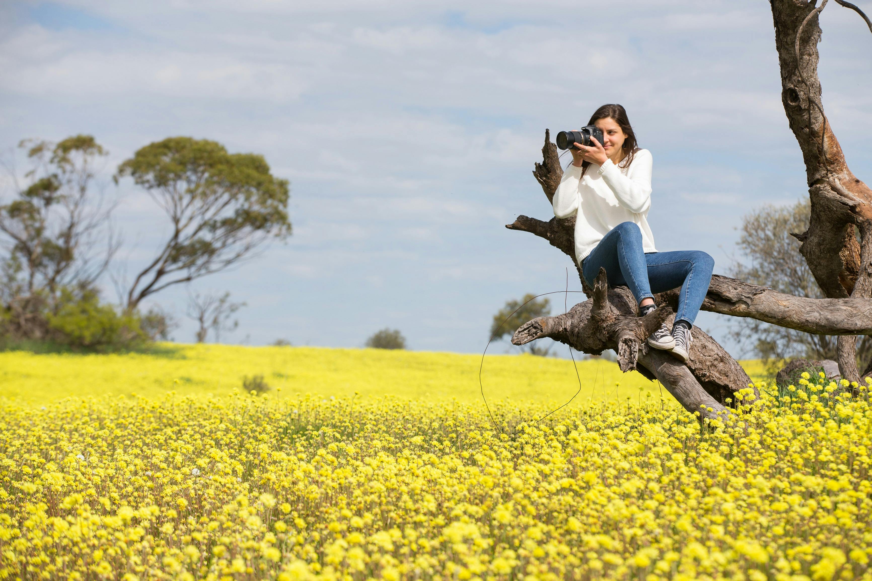Coalseam Conservation Park