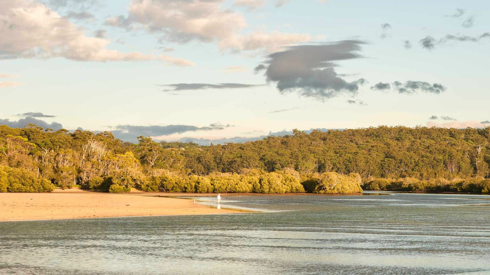 Narrawallee Inlet Walking Track
