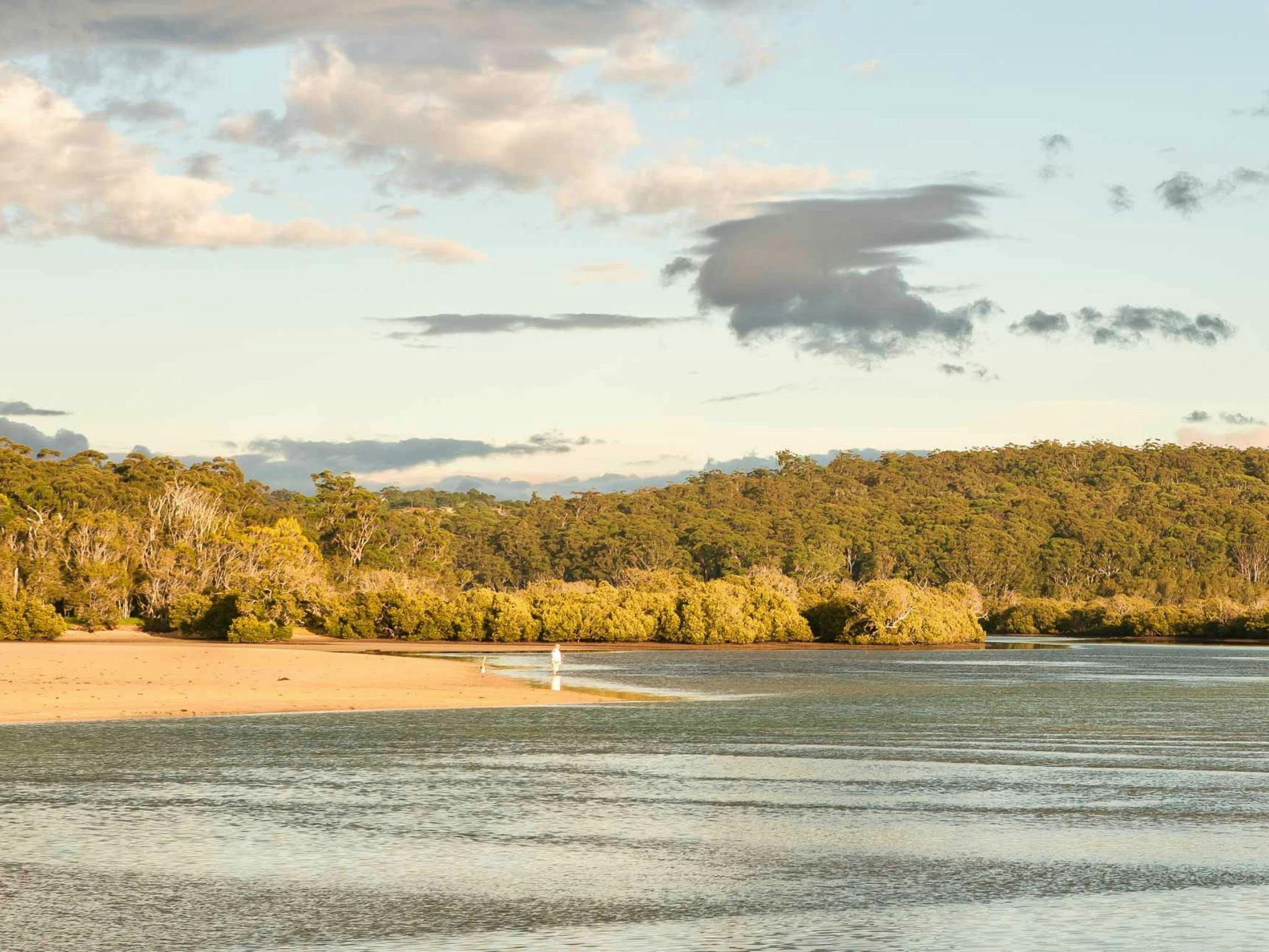 Narrawallee Inlet Walking Track