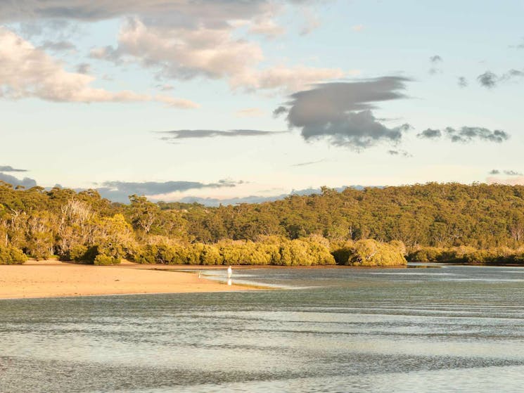 Narrawalle Inlet walking track, Narrawallee National Park. Photo: Michael van Ewijk