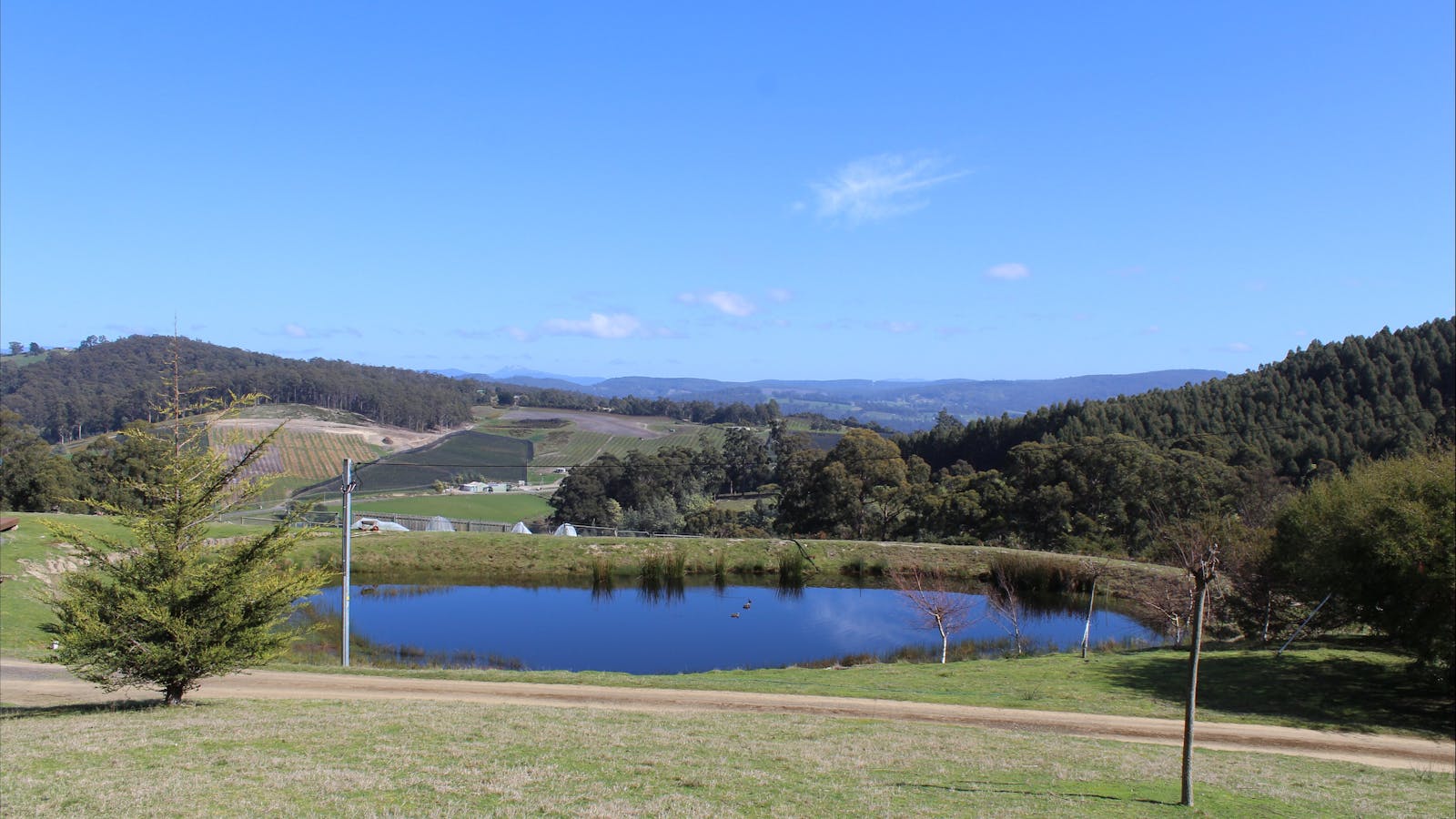 The Cherryview studio is positioned to give great views of the surrounding environment.