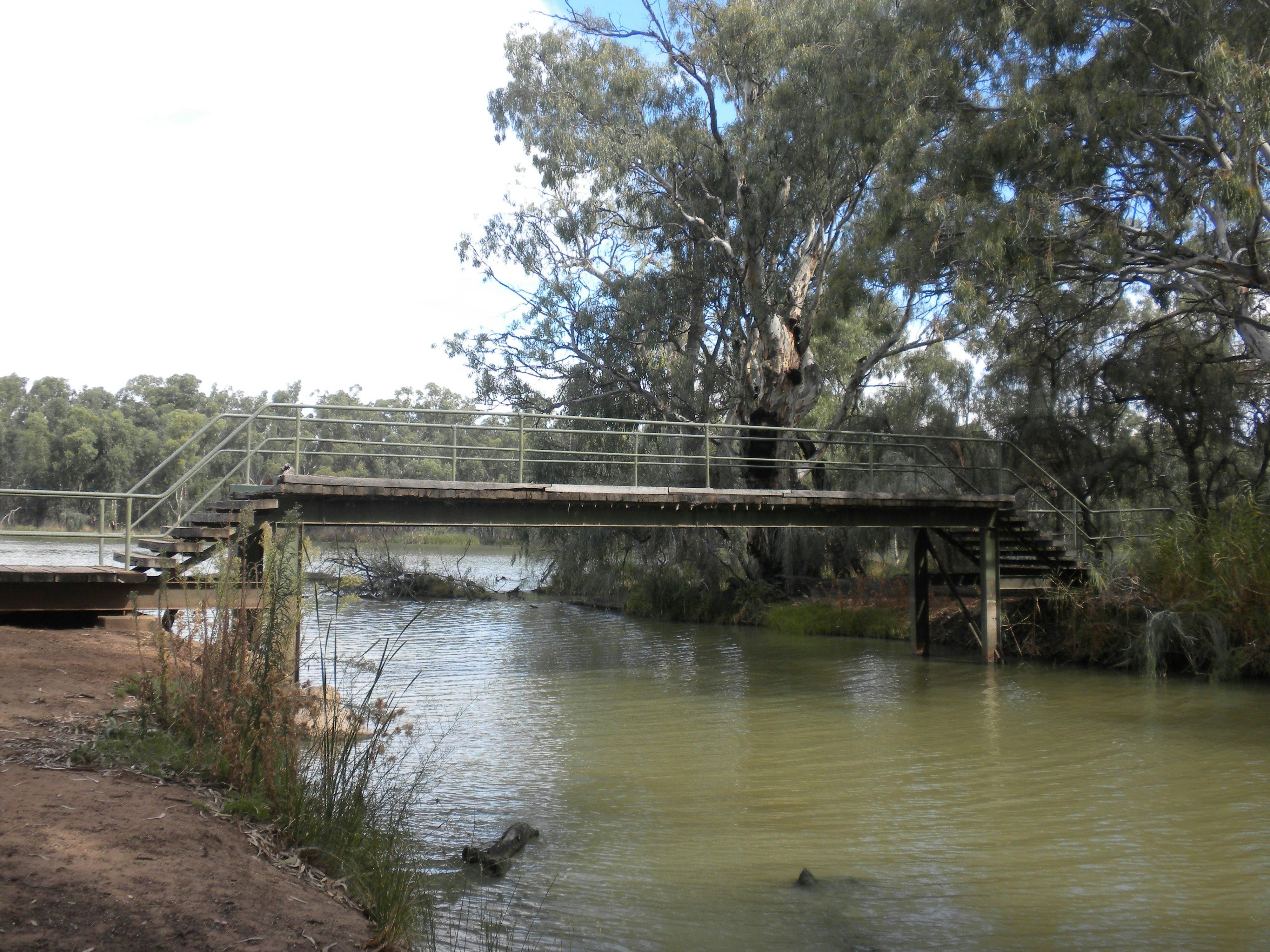 Junction Island Nature Reserve, Canoe Tree and Walking Track