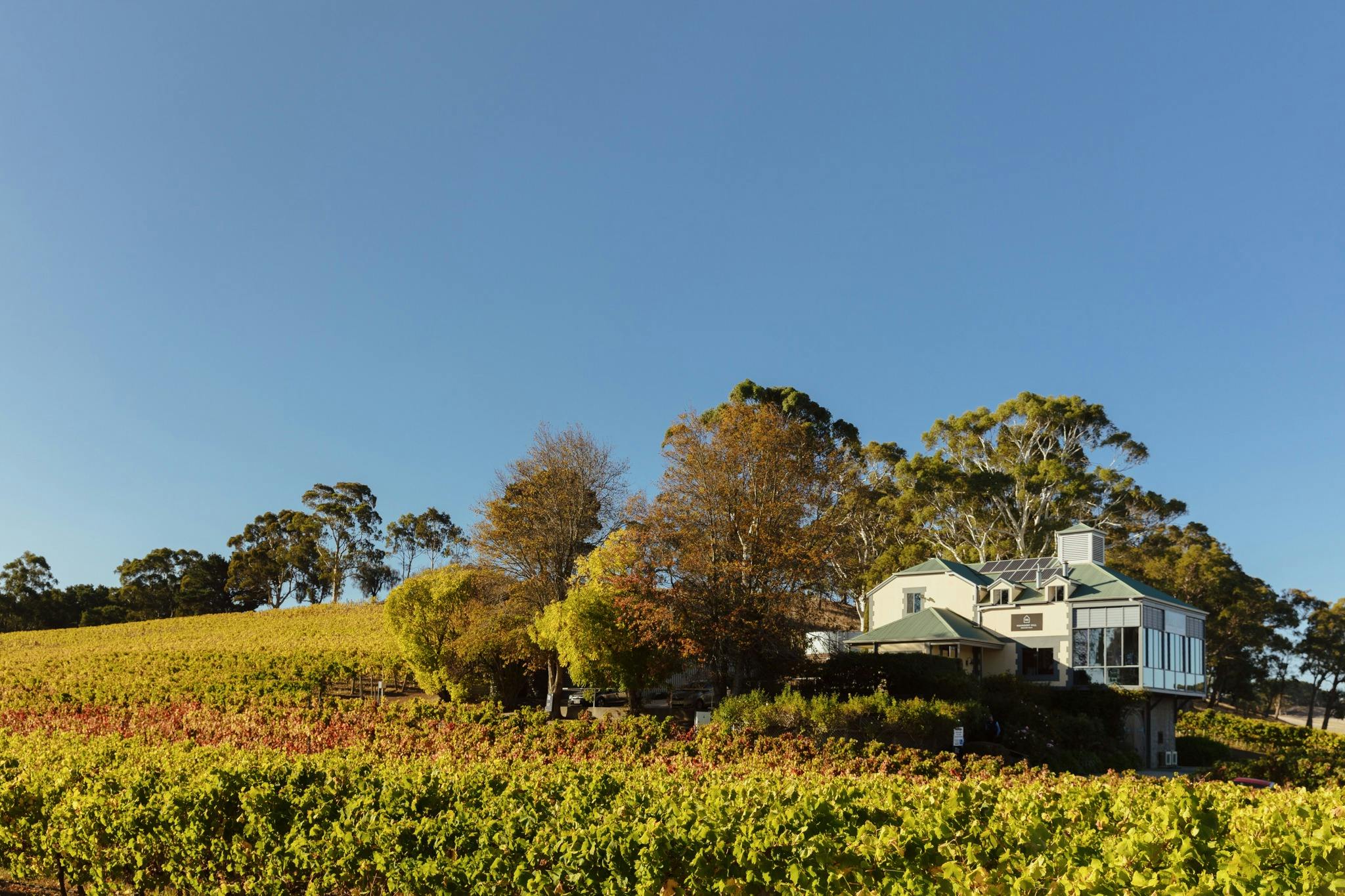 The Hahndorf Hill Cellar Door