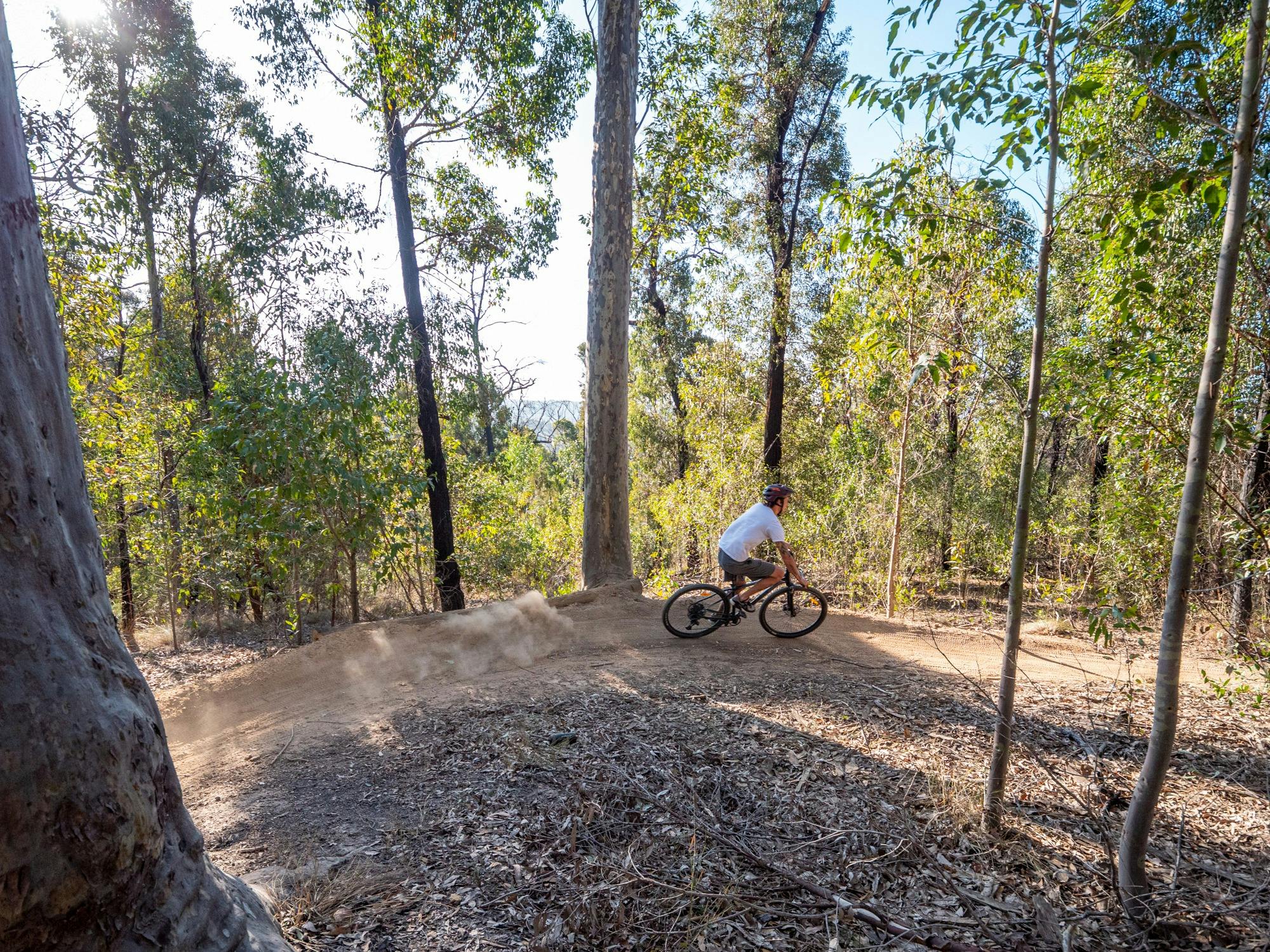Mountain Bike rider sourrounded by forest and blue sky