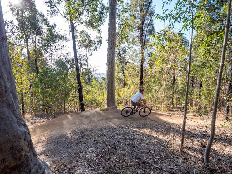 Mountain Bike rider sourrounded by forest and blue sky