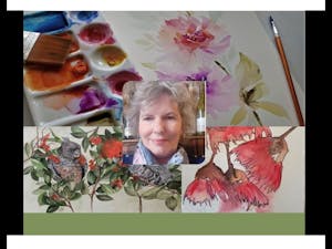 Marion Hughes Watercolour classes.