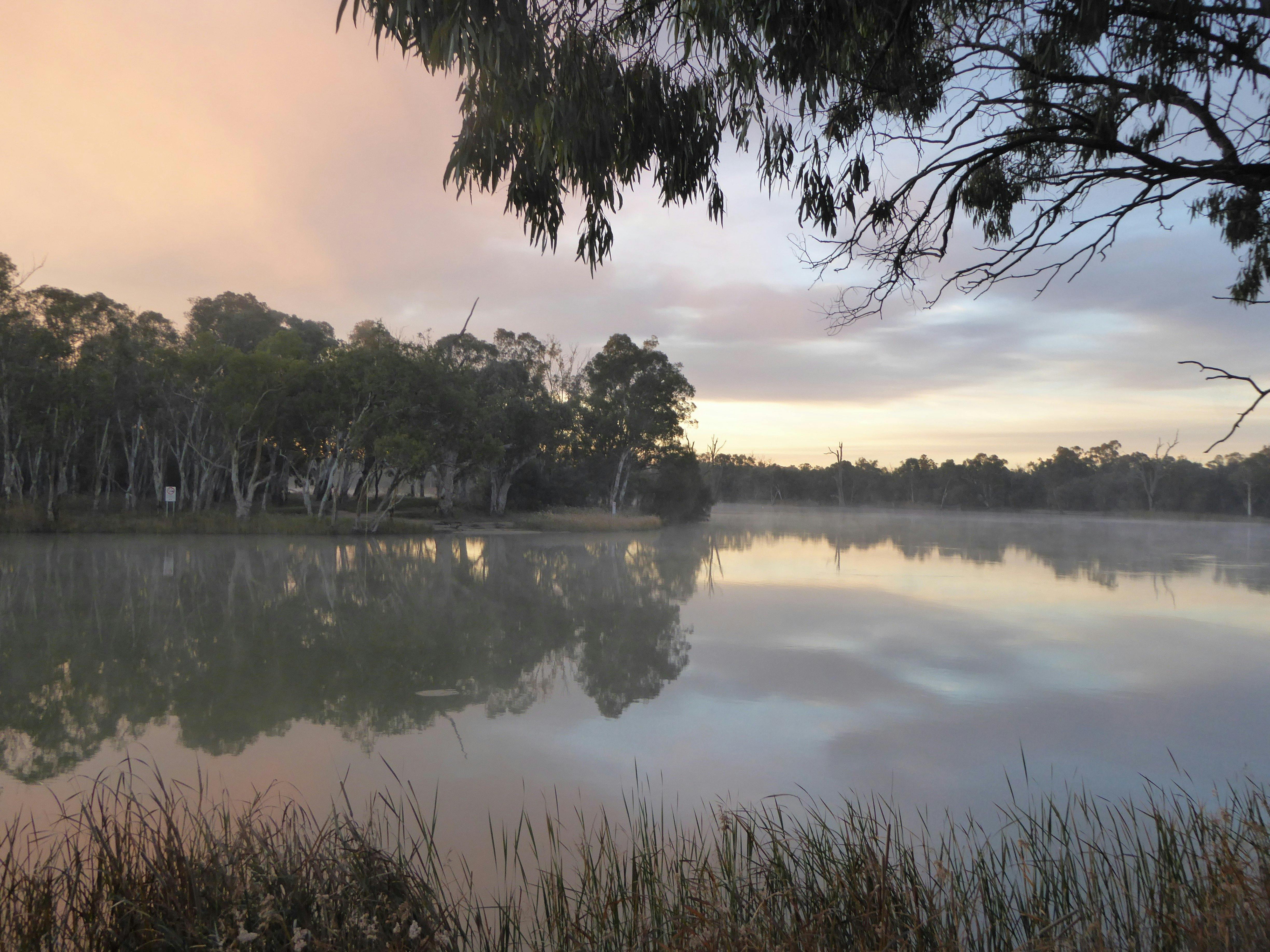 The Murray River, always changing, always beautiful!