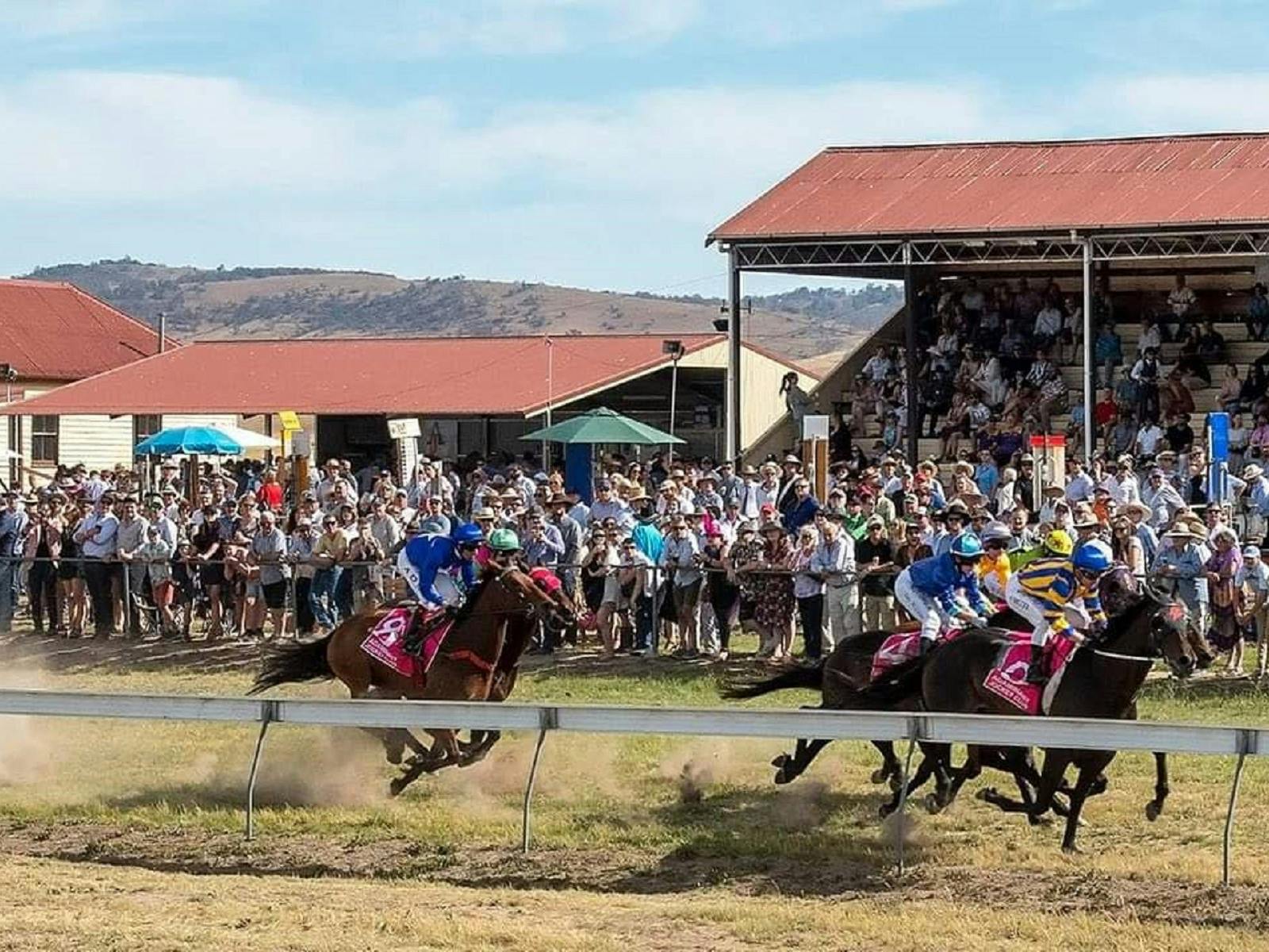 Adaminaby Cup Race Day