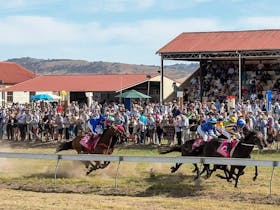 Adaminaby Cup Race Day Cover Image