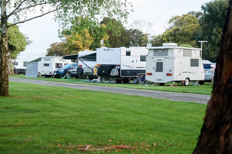 Pine Country Caravan Park - Pet Friendly