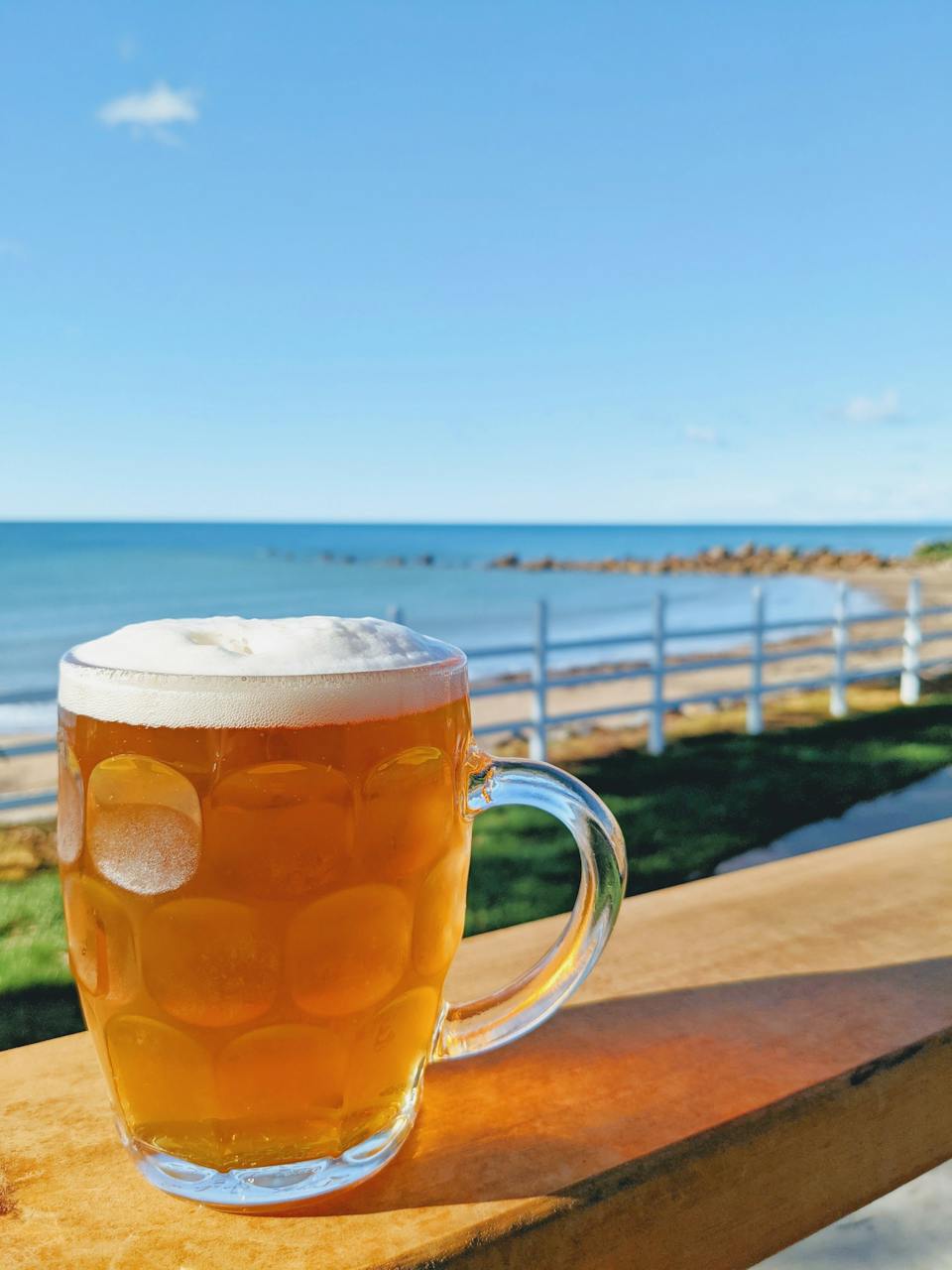 Penguin Beer Co photo
