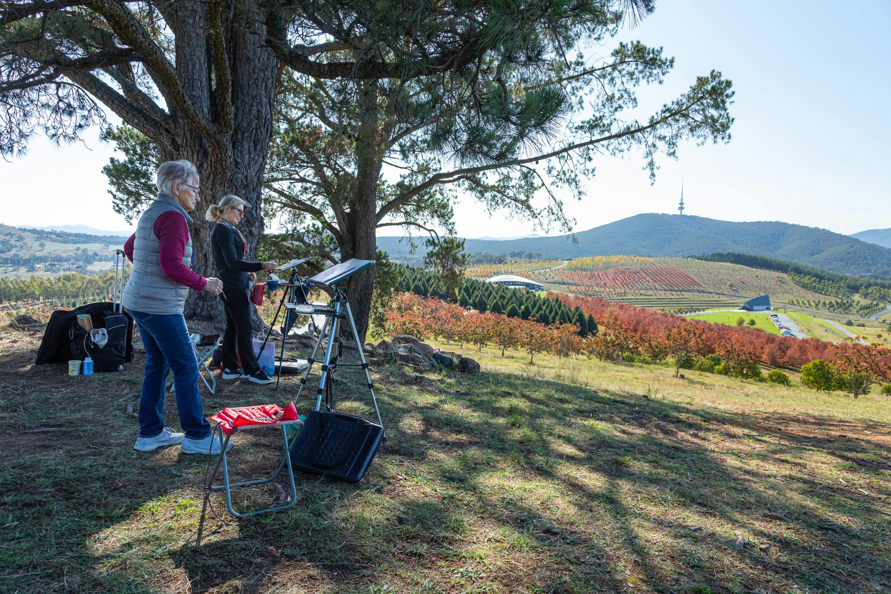 Artists Painting at The National Arboretum Canberra