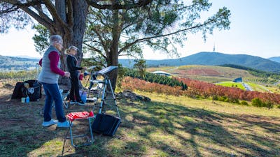 Artists Painting at The National Arboretum Canberra