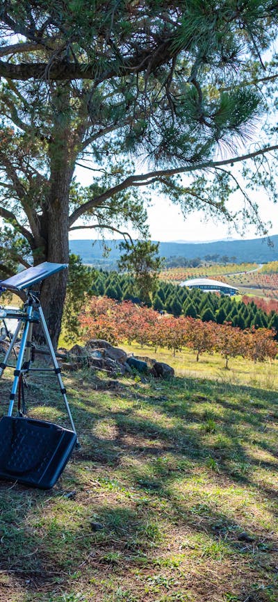 Artists Painting at The National Arboretum Canberra