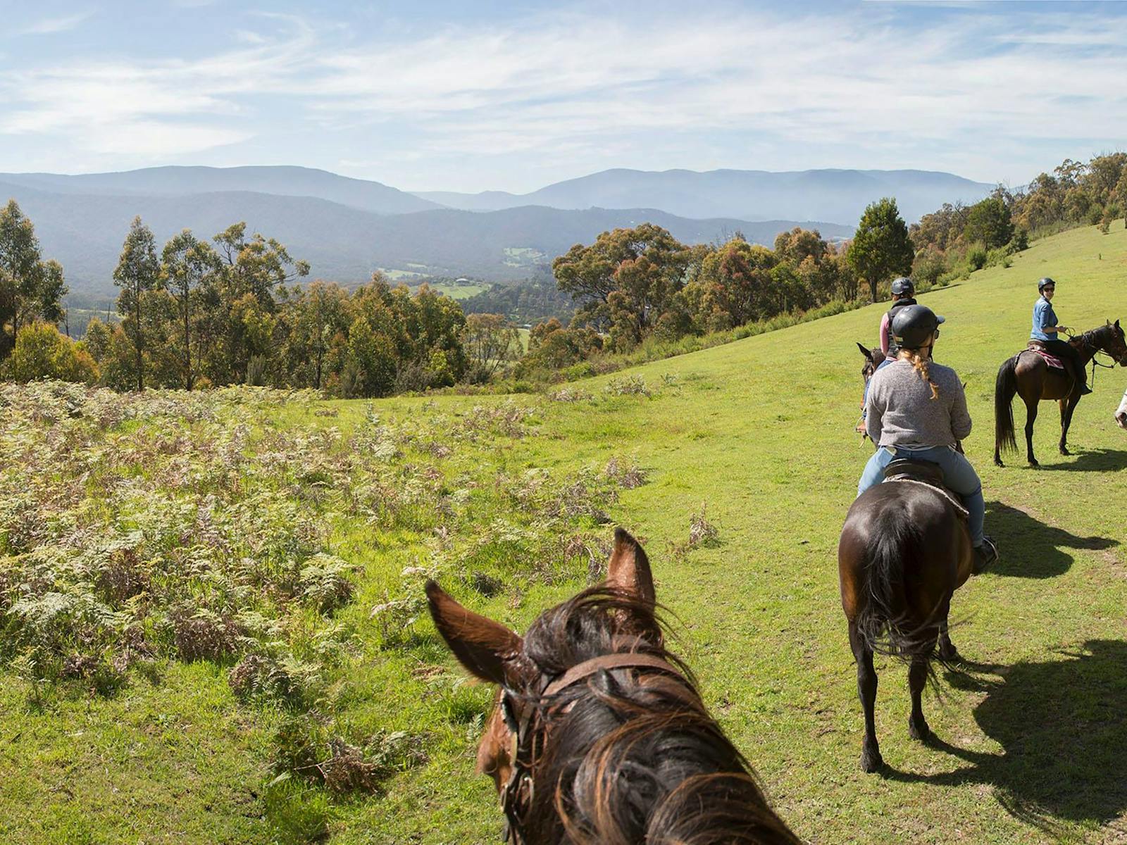 Chum Creek Horse Riding and Huts