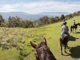 Chum Creek Horse Riding and Huts