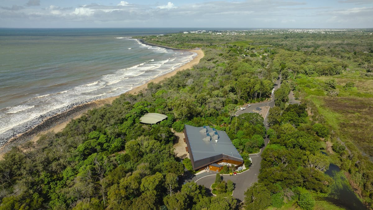 Mon Repos Beach