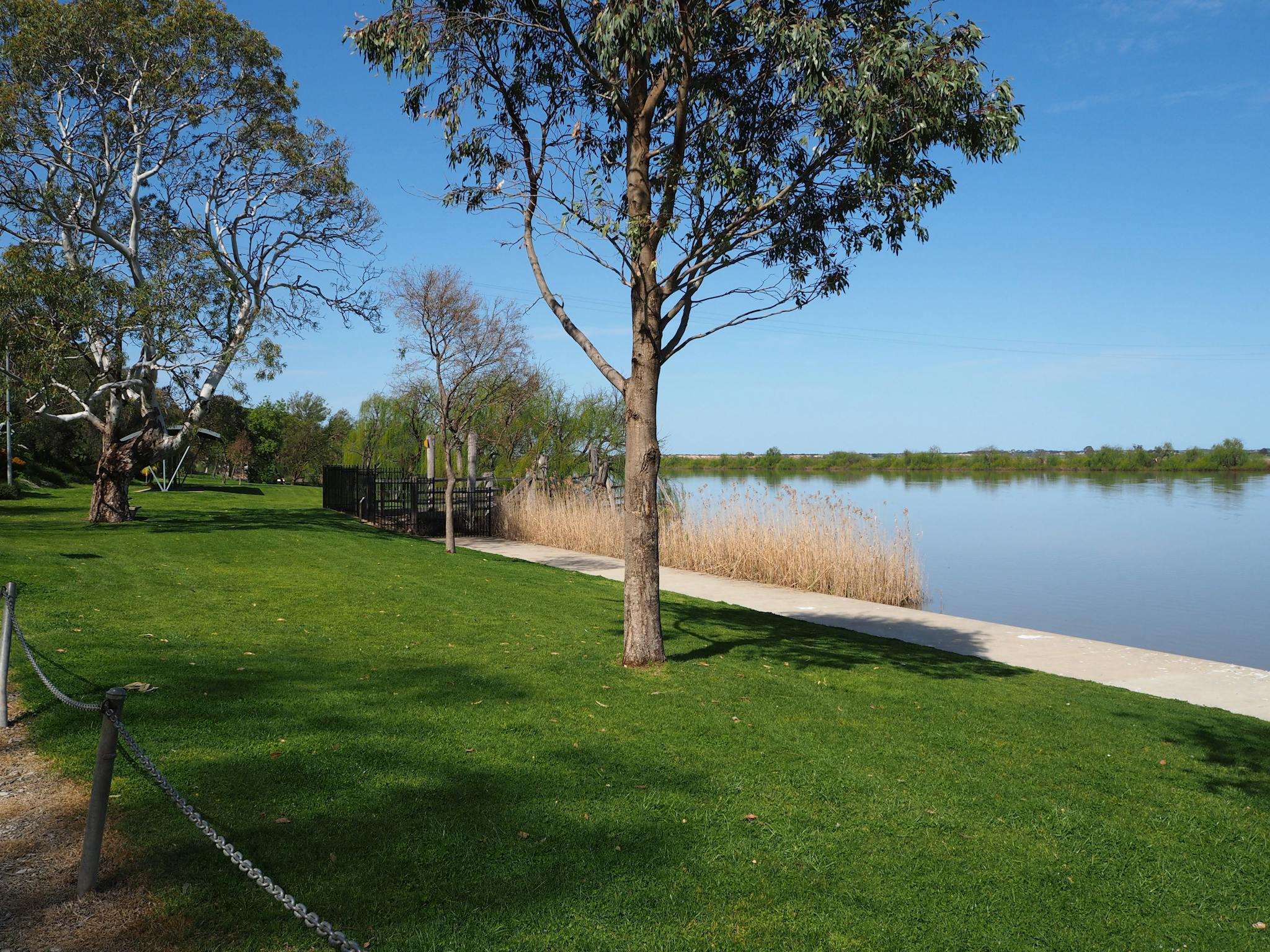 Banks of the Murray River Dickson Reserve