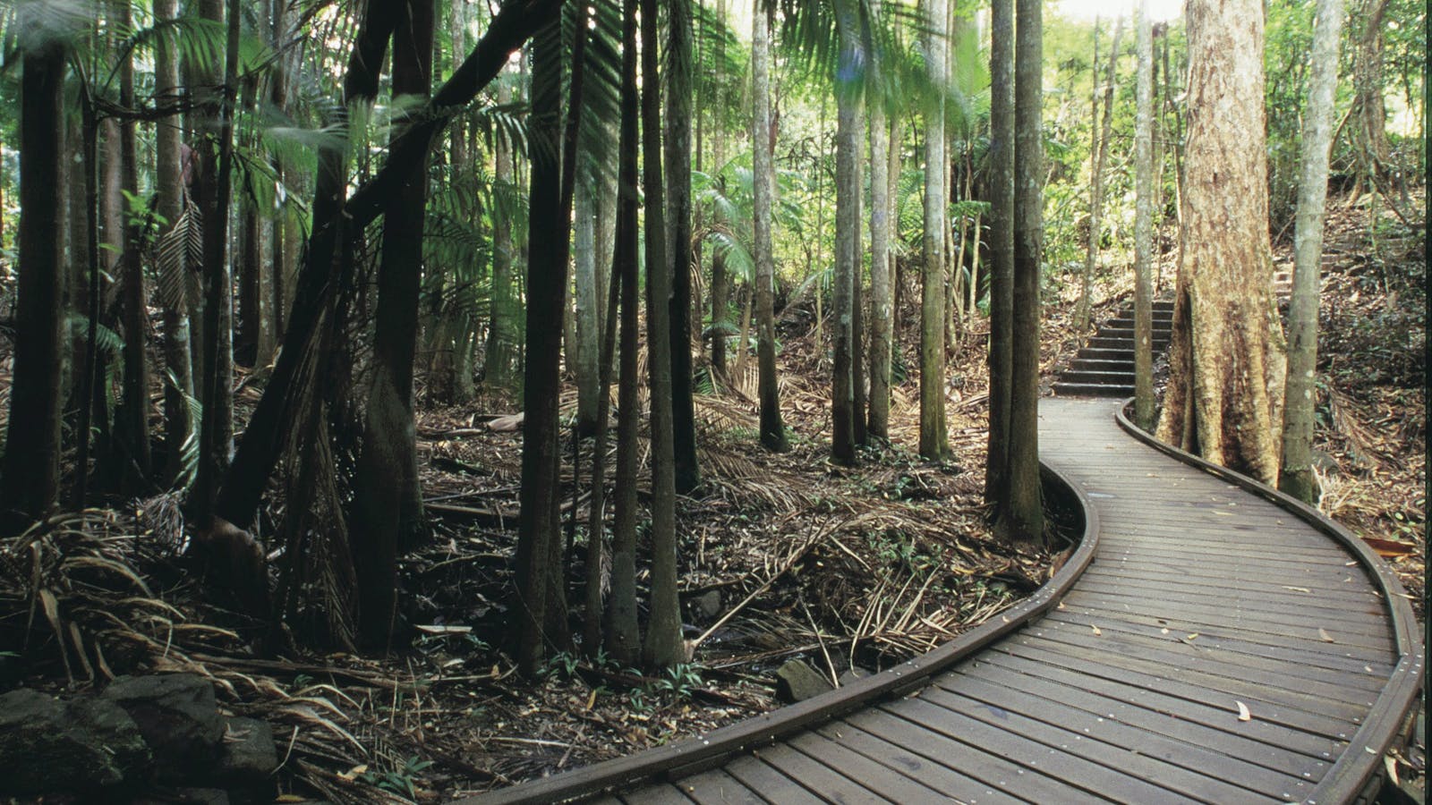 Mapleton Falls National Park